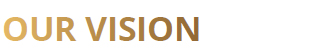 vision.jpg